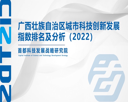 黑人大鸡巴操逼【成果发布】广西壮族自治区城市科技创新发展指数排名及分析（2022）